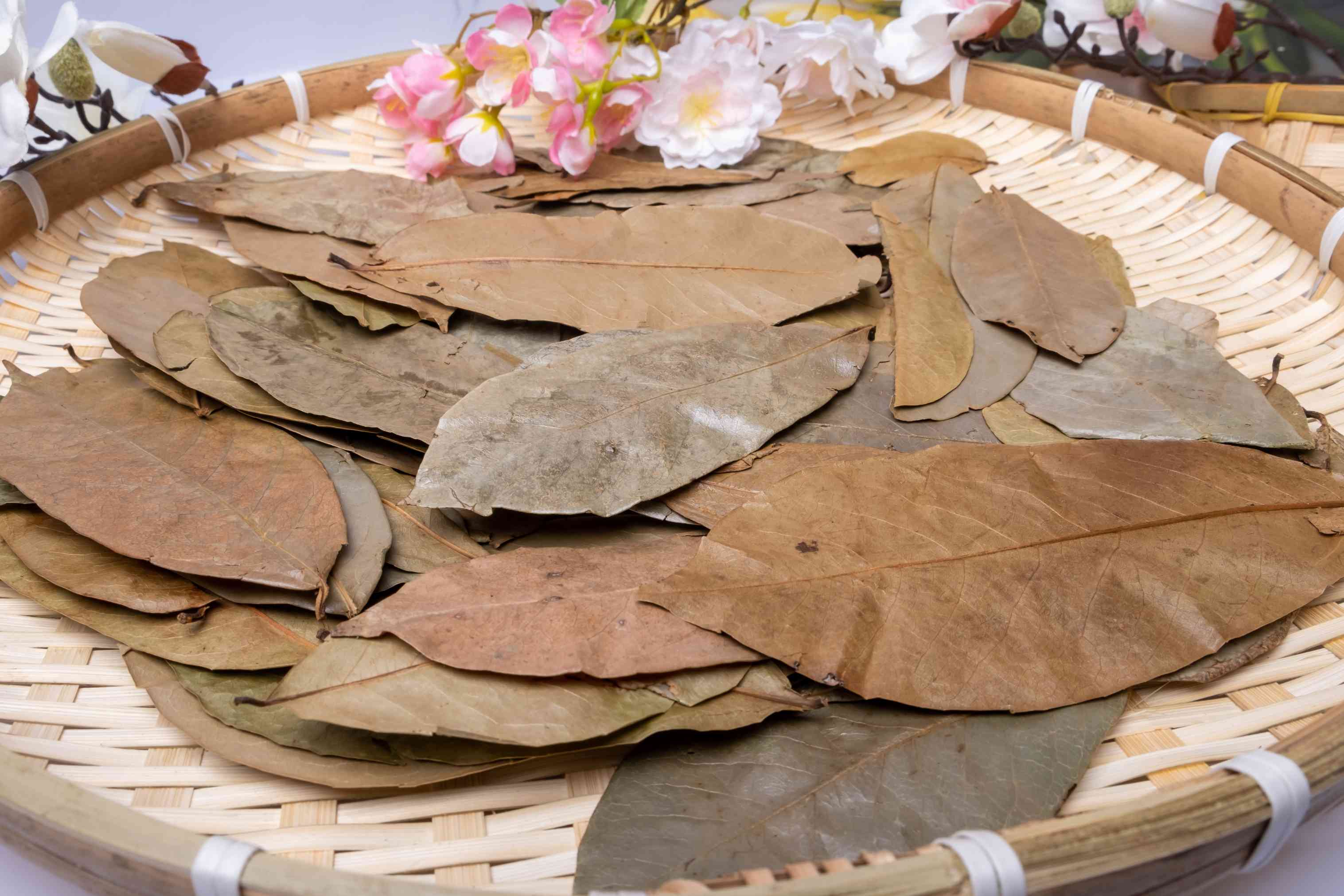 Graviola Tea Wholesale Manufacturer & Supplier in India